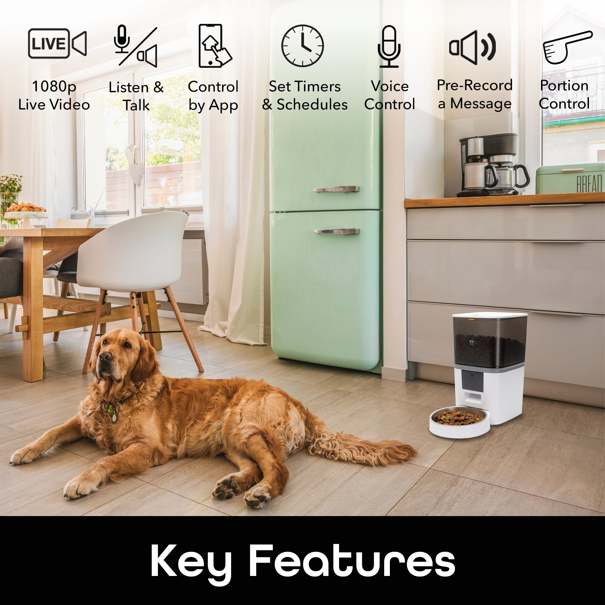 6L Smart Pet Feeder with Camera, 1080P HD