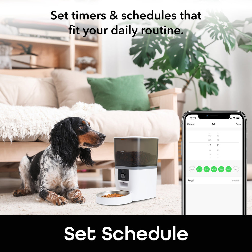 6L Smart Pet Feeder with Camera, 1080P HD