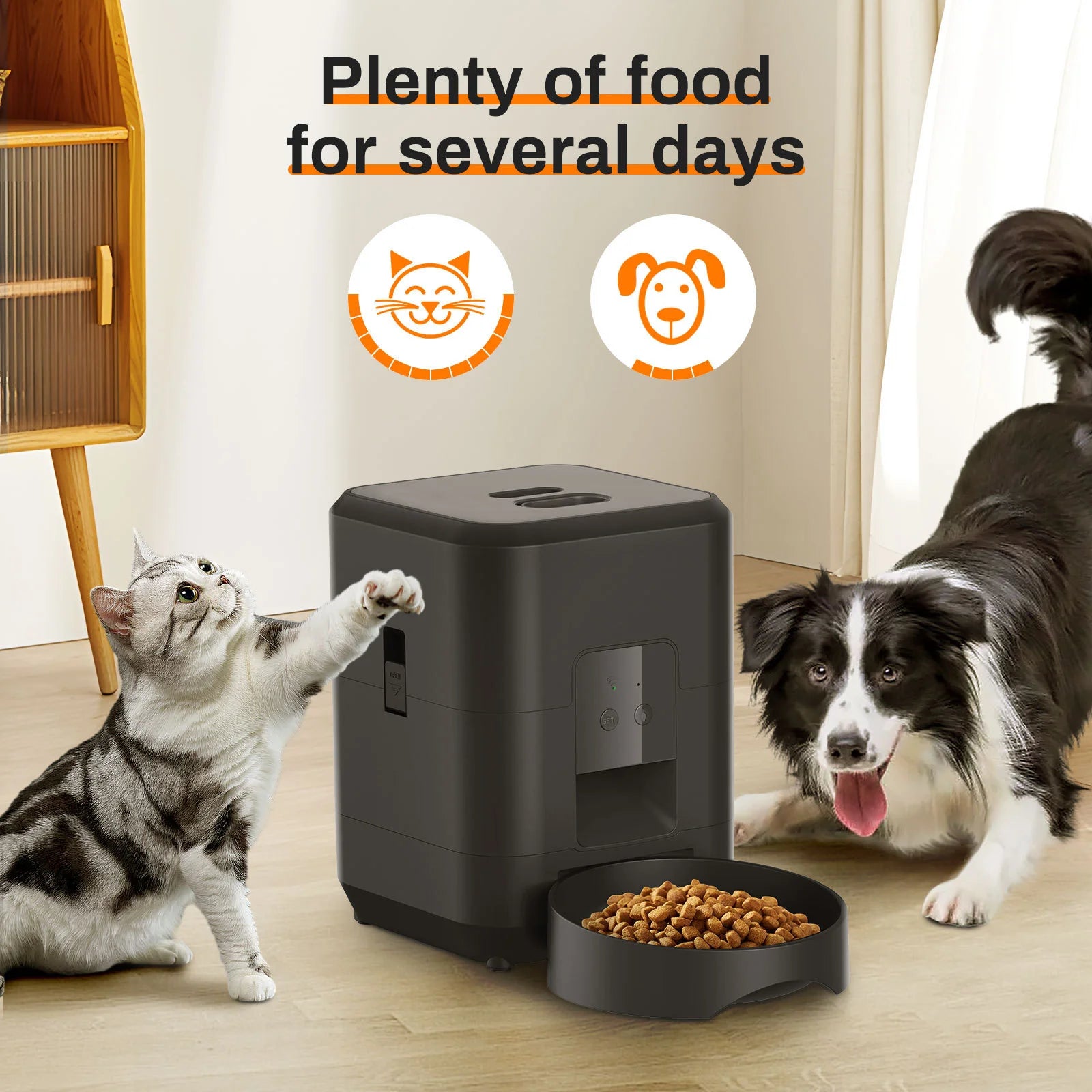 Petch Paws Intelligent Timing Quantitative Remote Automatic Pet Feeder
